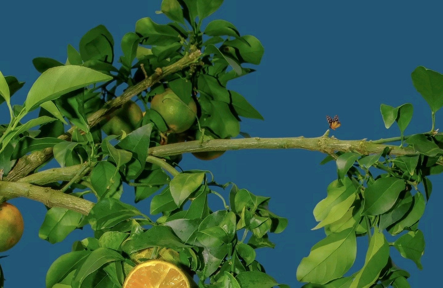 与情绪共舞💃🏻