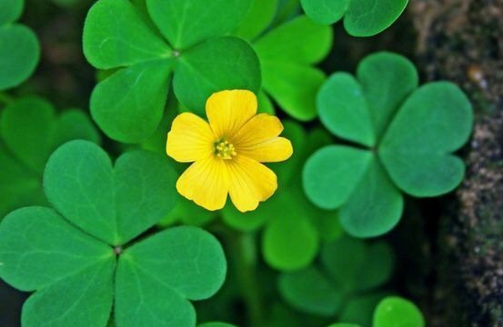 讨好型人格在职场中有哪些表现？