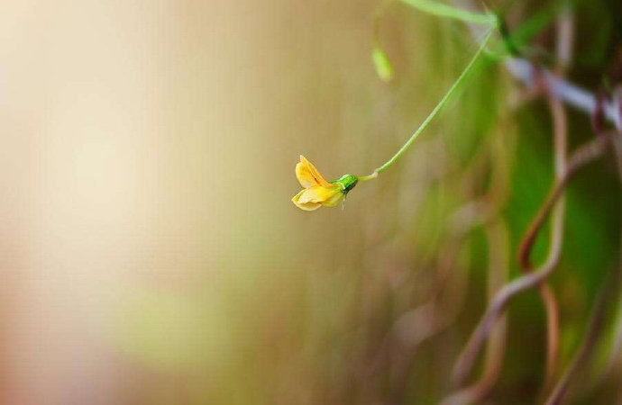 告诉你如何与焦虑感做斗争。