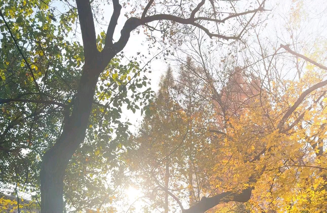 心理学手记：学会 “情绪钝感力”，给心灵松绑