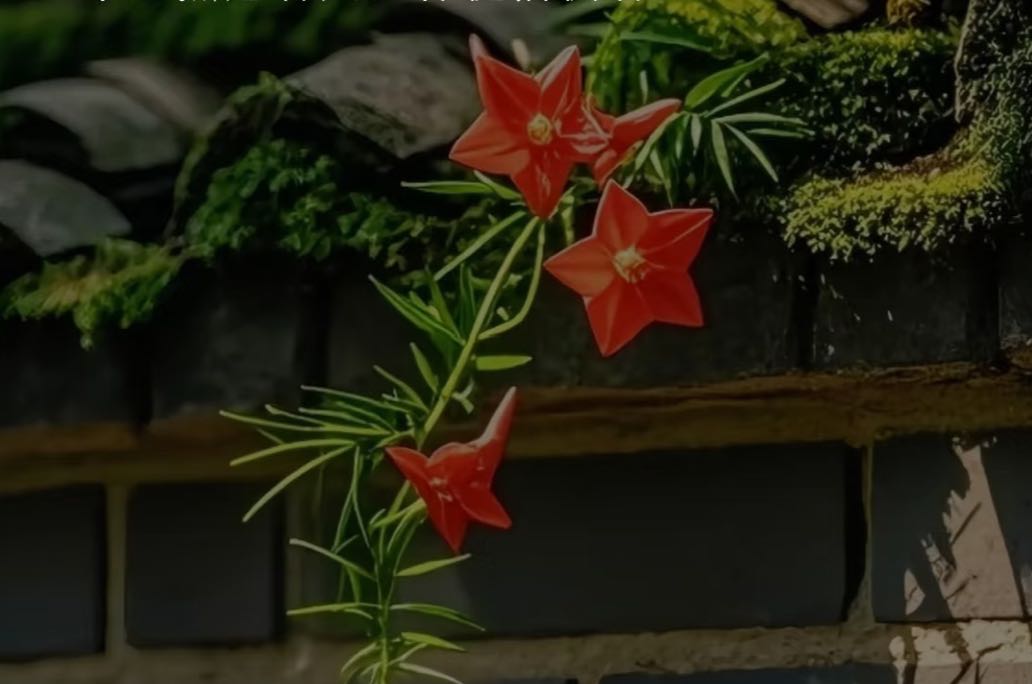 经营婚姻是一场需要双方共同投入、彼此磨合的长期修行