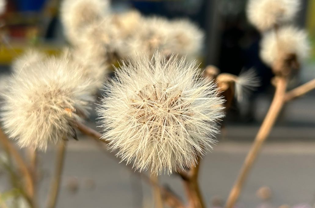 每个成年人都不要放弃自己