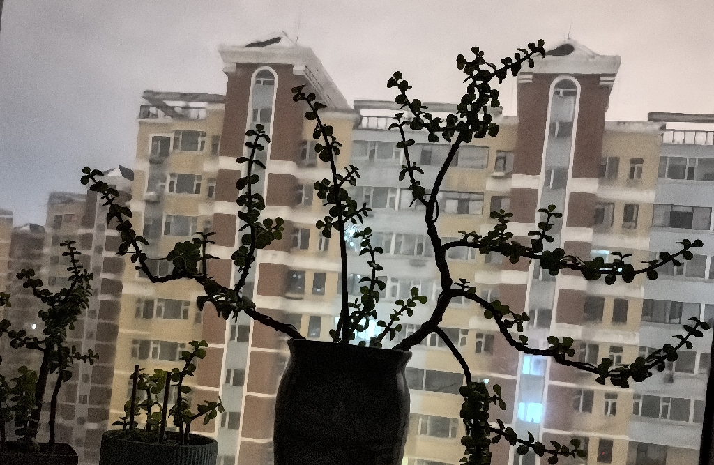 与回避型人格沟通的策略二：调整沟通模式与期望值