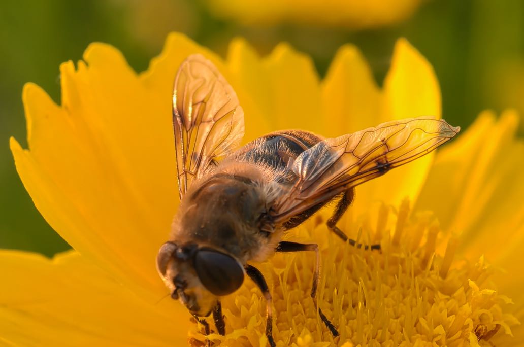 男人开始表现出厌倦，其实是关系里的「需求信号」在预警