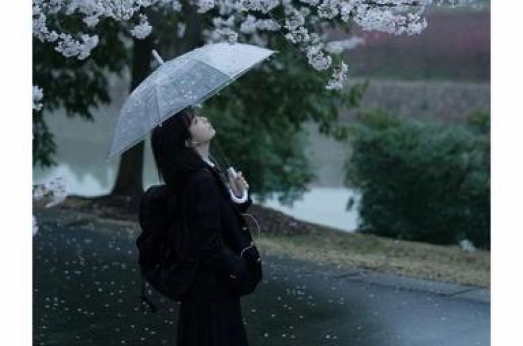 是不是越懂事的人，越容易内耗？明明委屈到想哭，却还要假装没？