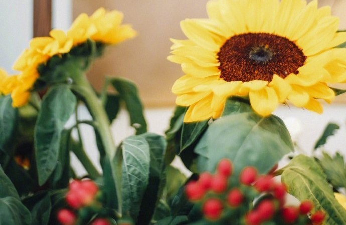 判断一段人际关系是否值得维持？