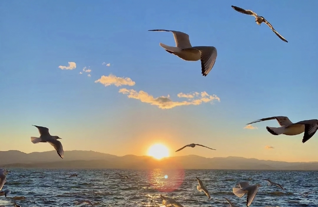 与执念和解的五步行动指南