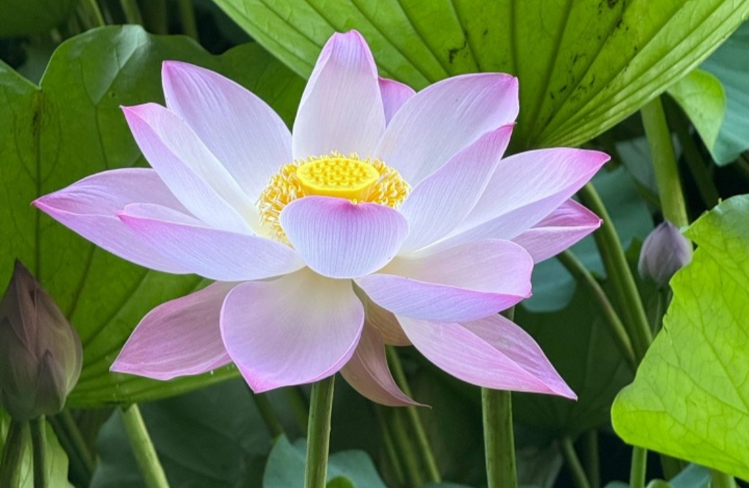 阳明心学守护亲友边界