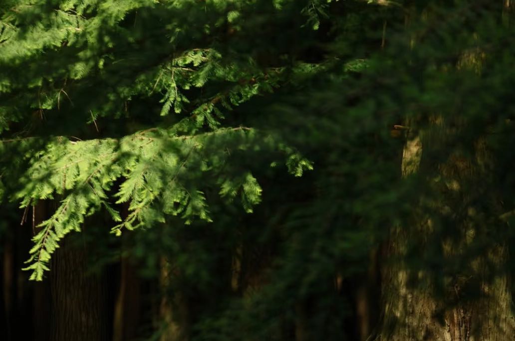 如何让伴侣更愿意配合——沟通、理解与共同成长🙌🏻