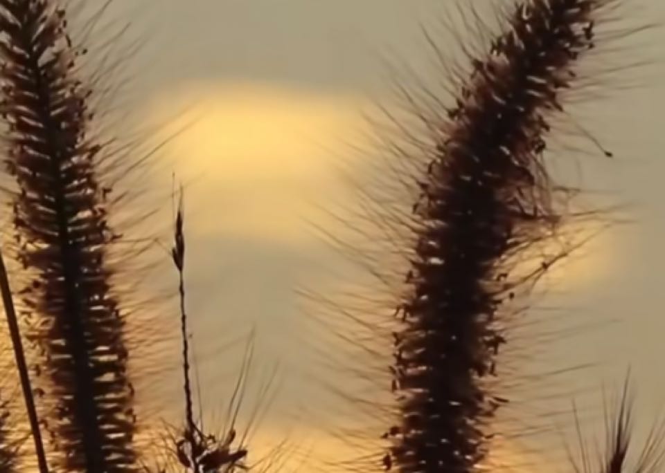 女孩会把与母亲的相处模式投射到自己的孩子身上