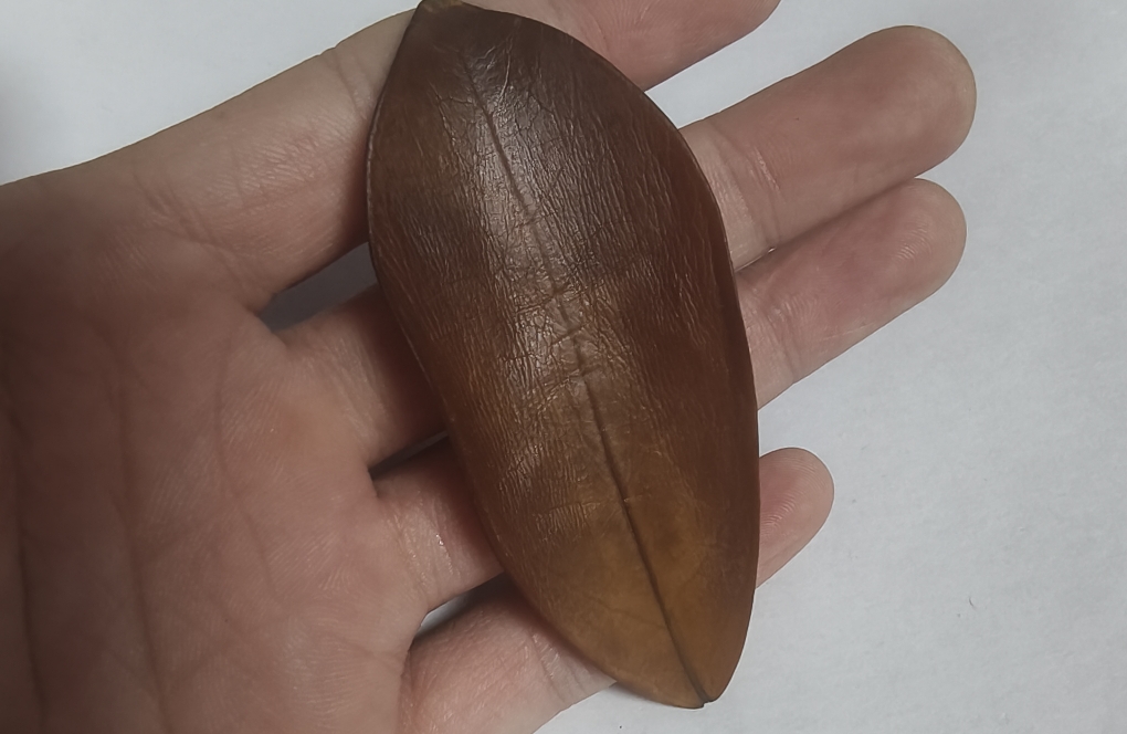 异地恋危机：如何跨越距离修复关系