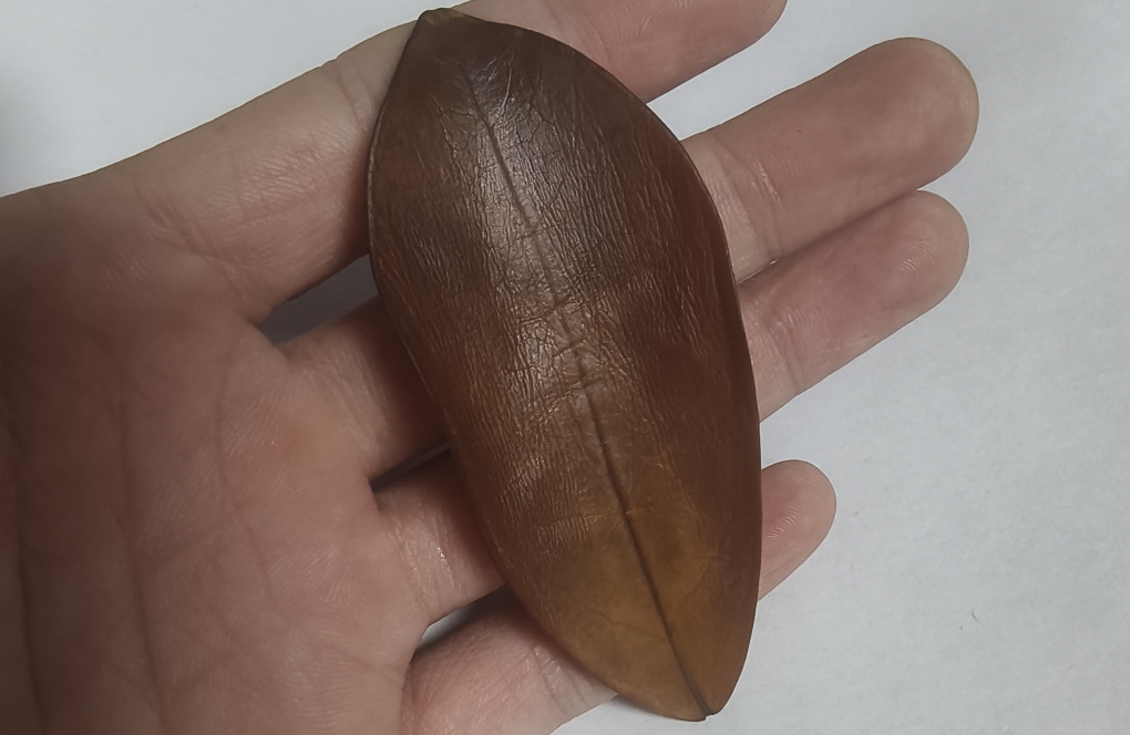 修复的真相：它是一场马拉松，而非短跑