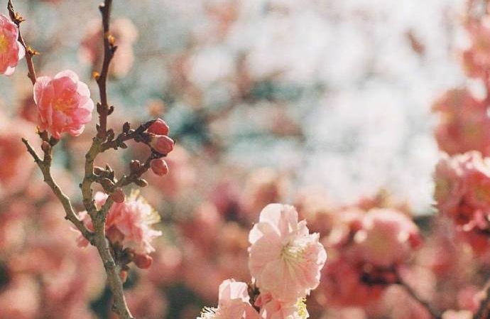 有没有提高职场情商和心的最佳方法？