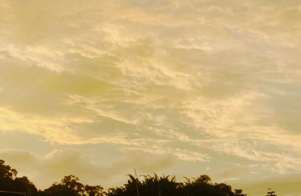 别让“懂事”绑架你！3个方法活得更轻松