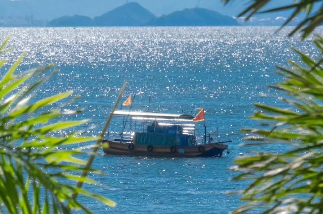 在信息超载的时代，如何安放内心的迷茫❓