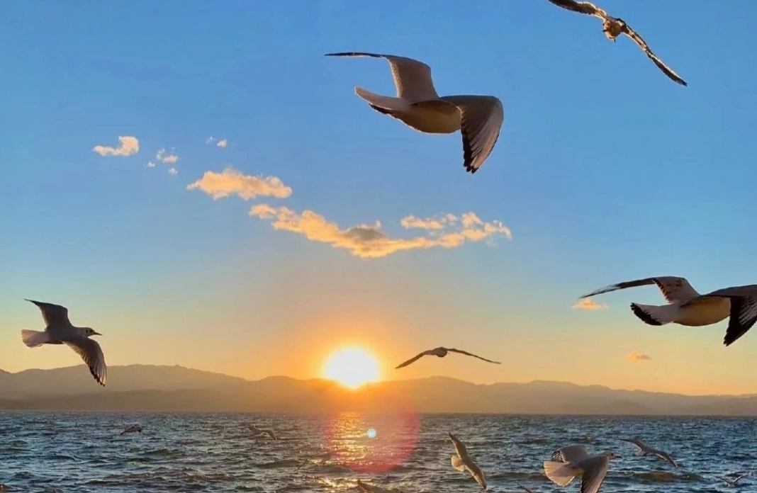 与执念和解的五步行动指南