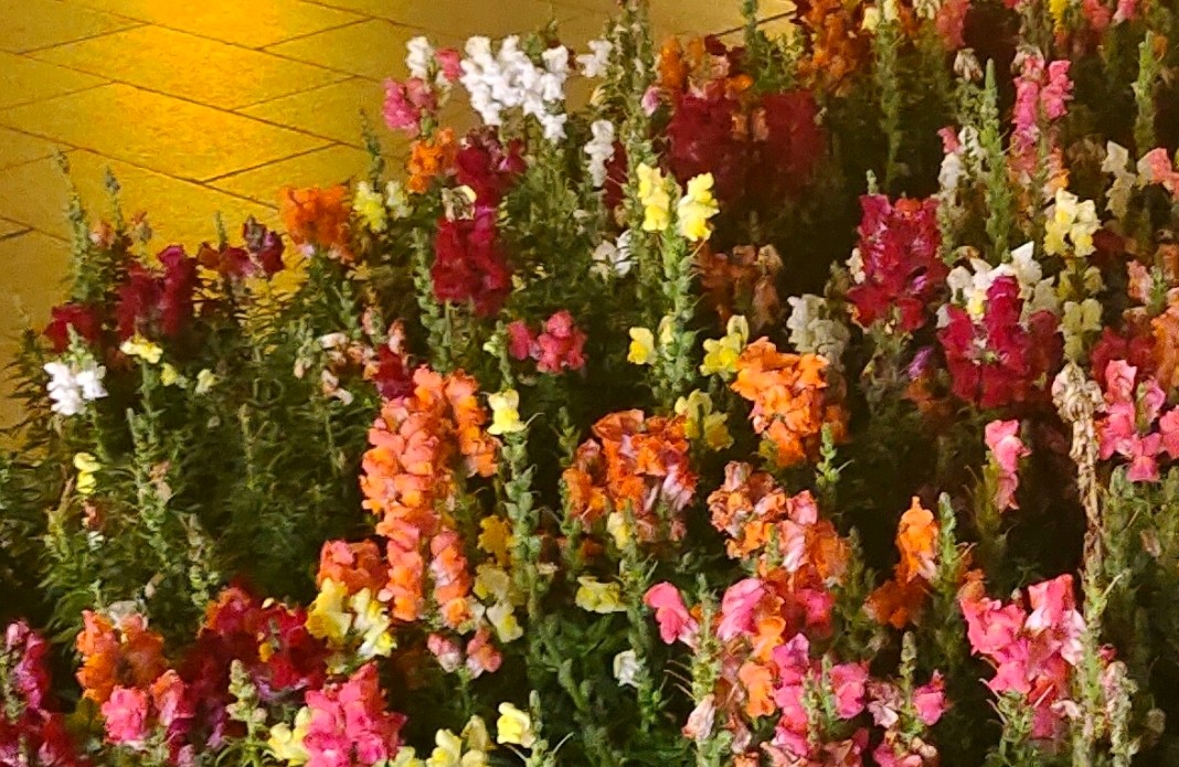 理性审视压力：困境之下的十一种人生选择