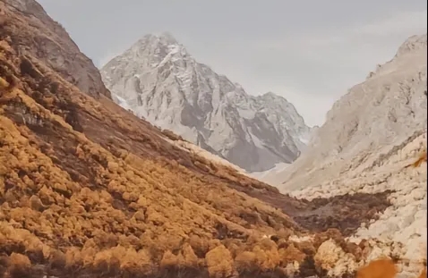 波斯信使综合征