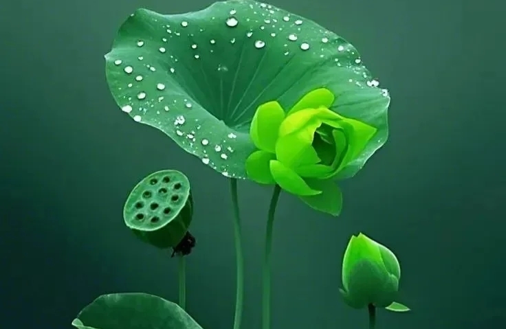 爱上有家的人：三步体面抽身，重遇自己