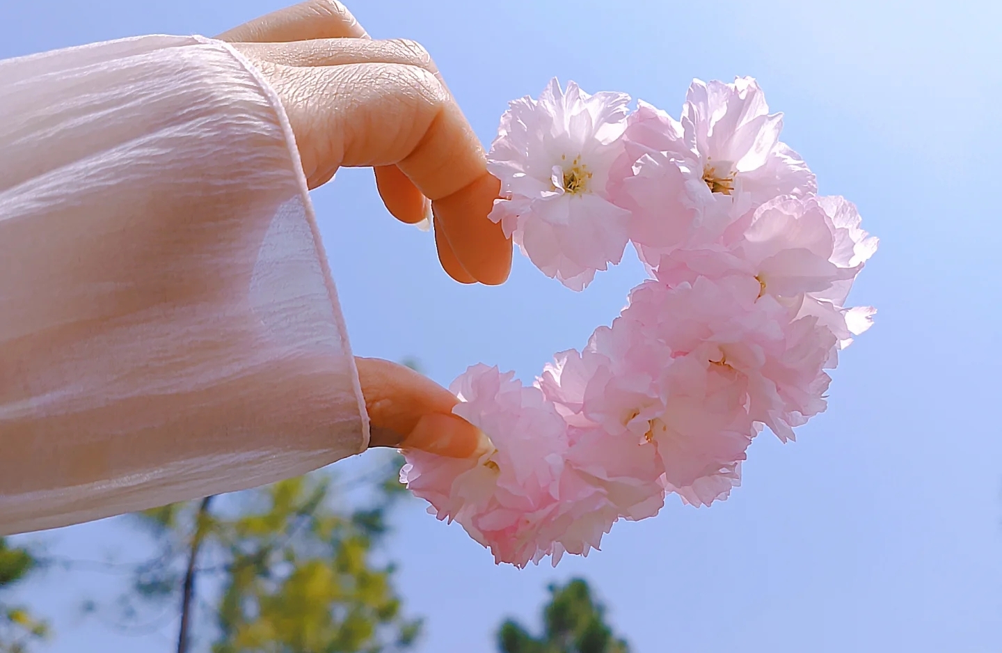 原生家庭阴影：三步学会信任伴侣