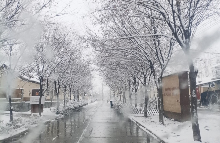 如何和‘逃避型’人格的伴侣相处？