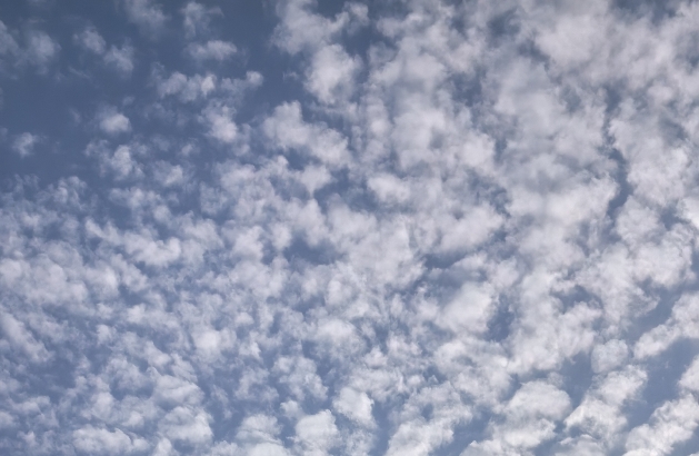 活出充实且无憾的人生