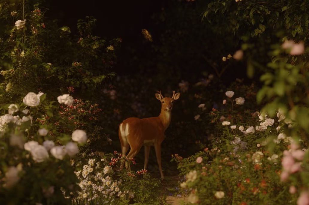 与情绪和解，才是专注的开始🔆