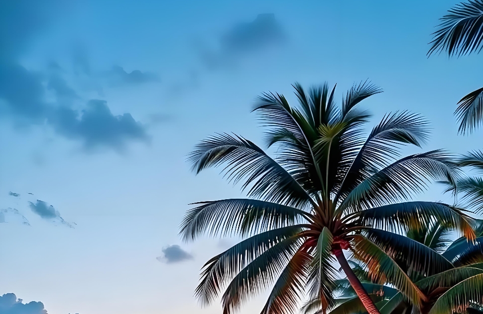 摔门而去的瞬间，我抓的是童年未关紧的门