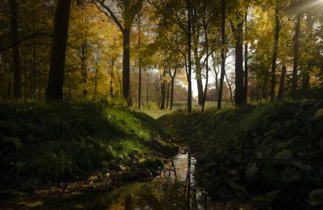 在恋爱中什么是引导型恋人？