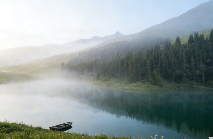 自我修复心灵创伤的实用技巧