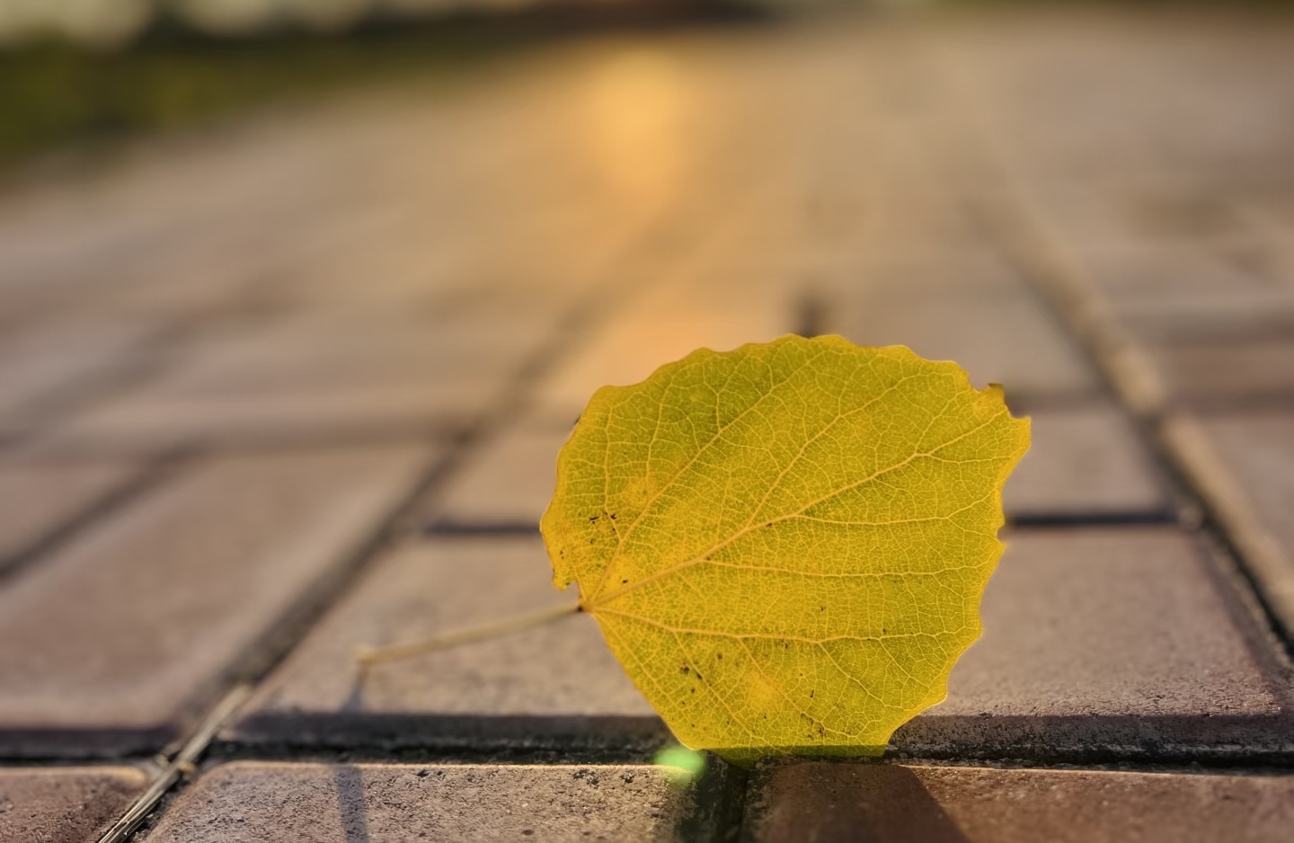 如何从“从小被家暴”的隐影中走出来