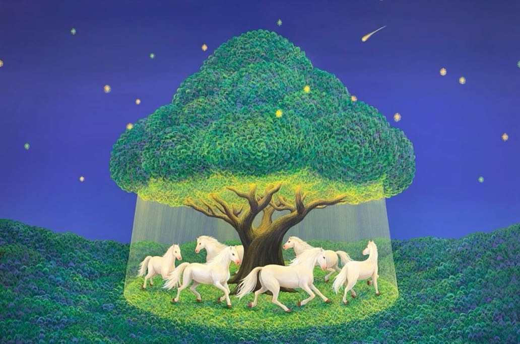 ✨如何从自己的世界里走出来—打破认知局限👁️