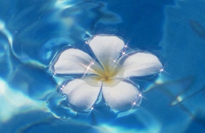 如何能获得高质量的陪伴？