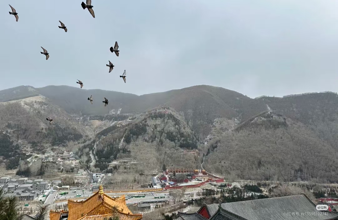 别让“想太多”困住你的社交脚步