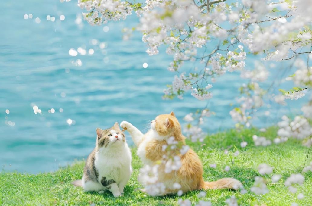 如何打破讨好型或回避型的亲密关系模式