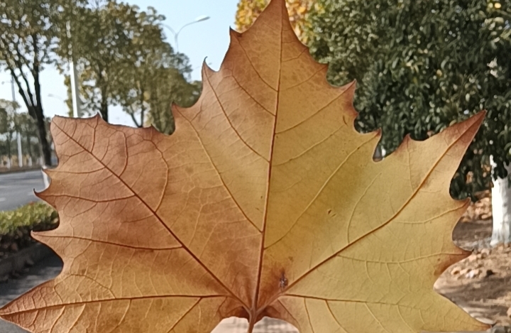 停止内耗，与自己和解的心理法则