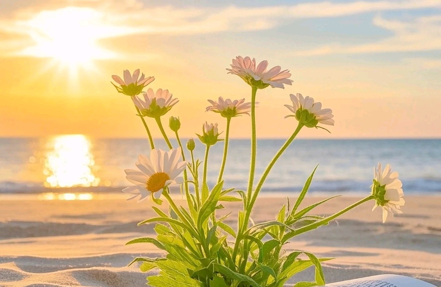 亲密关系中的“赢”，5步简单法