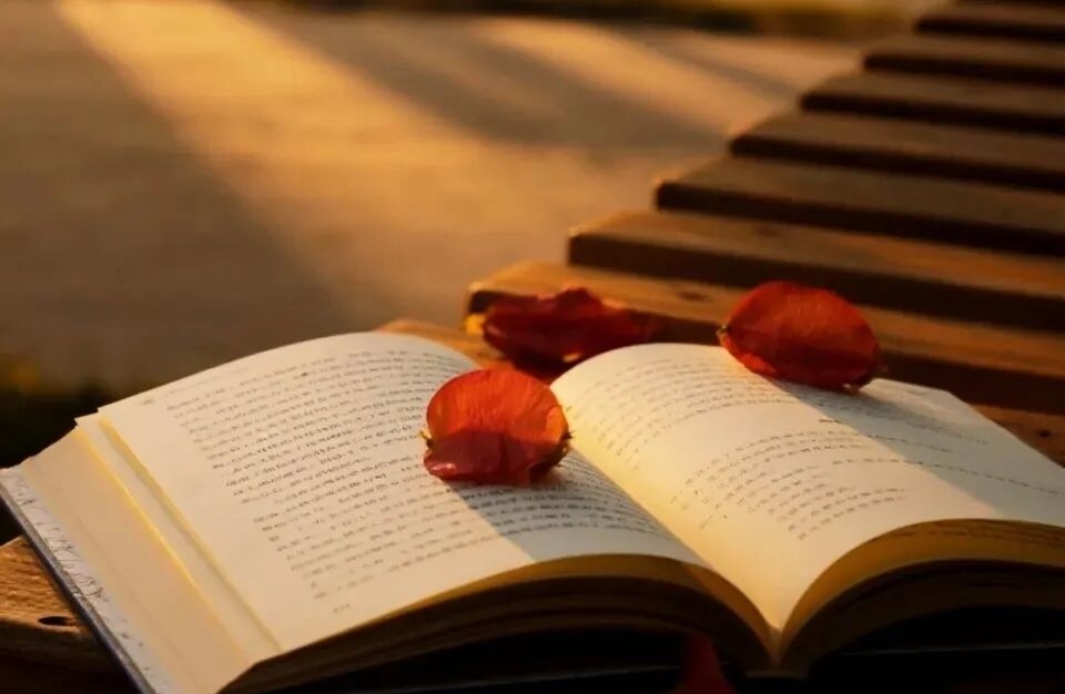 爱要大胆说出口，追爱有方法才不慌