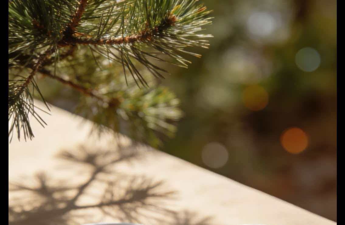 爱要用心经营，相处有分寸才不累