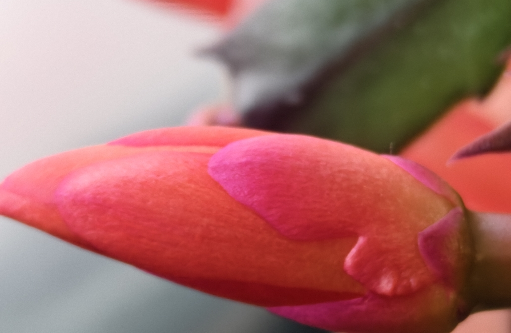 《完整而非完美：接受修复后的关系“伤疤”》