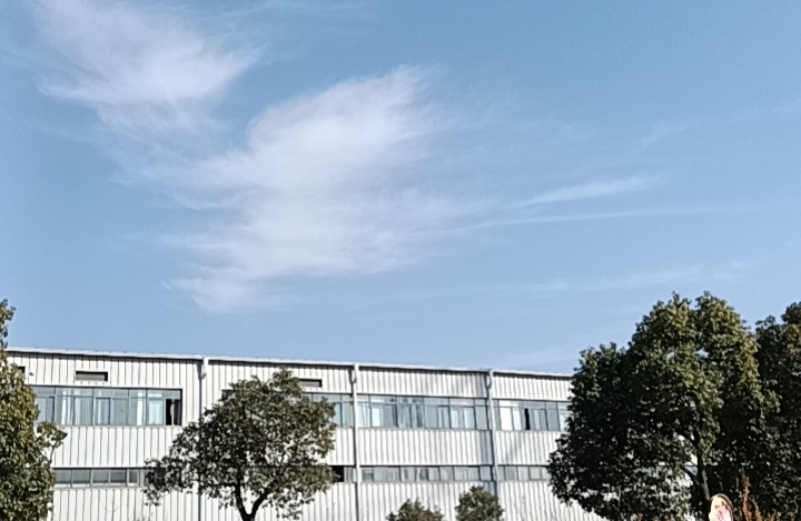 过年去娘家还是婆家？解锁新年团圆的温柔解法