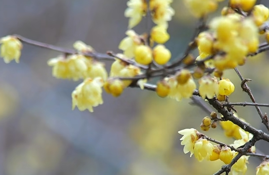 对方好久不回你信息，你该怎么做？