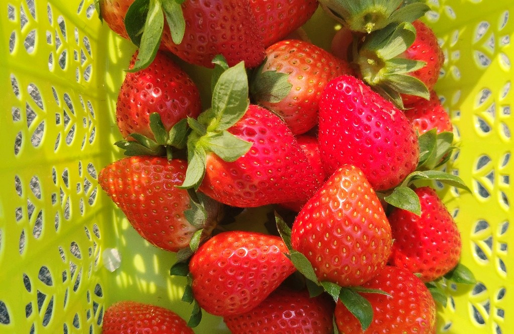 如何避免提前焦虑