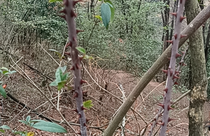 如何处理两性之间的冷暴力