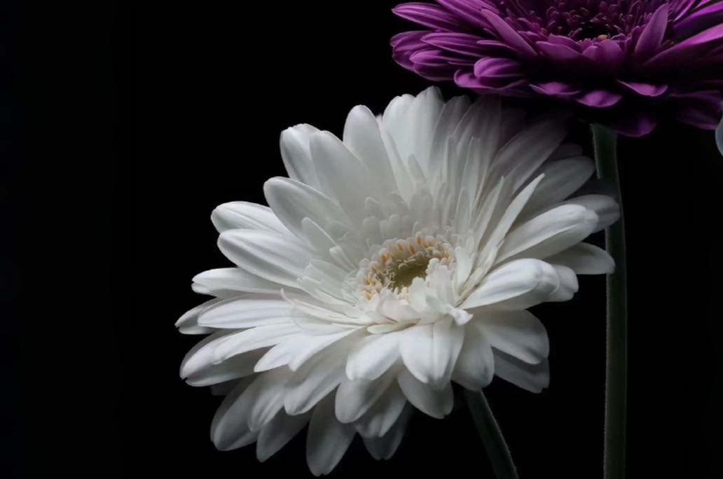 嫉妒让我面目全非，为什么总是忍不住