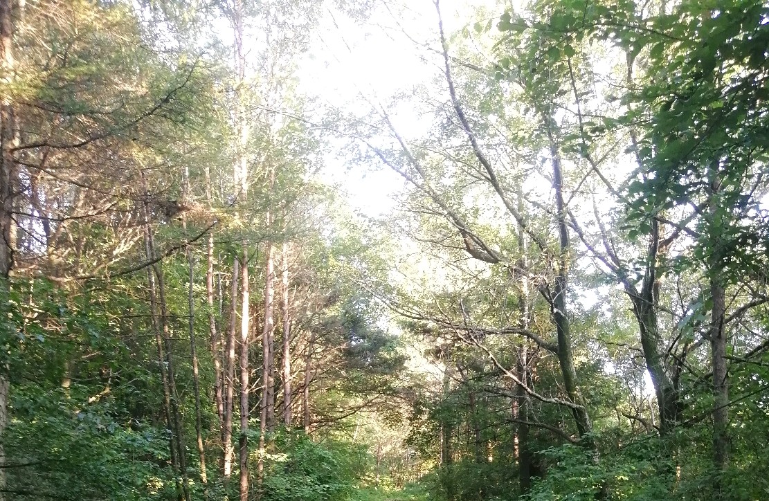 焦虑带来的积极作用