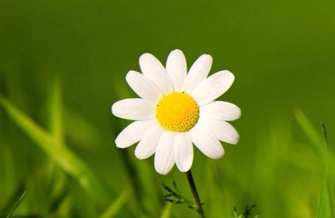 如何增强内心力量走出困境。