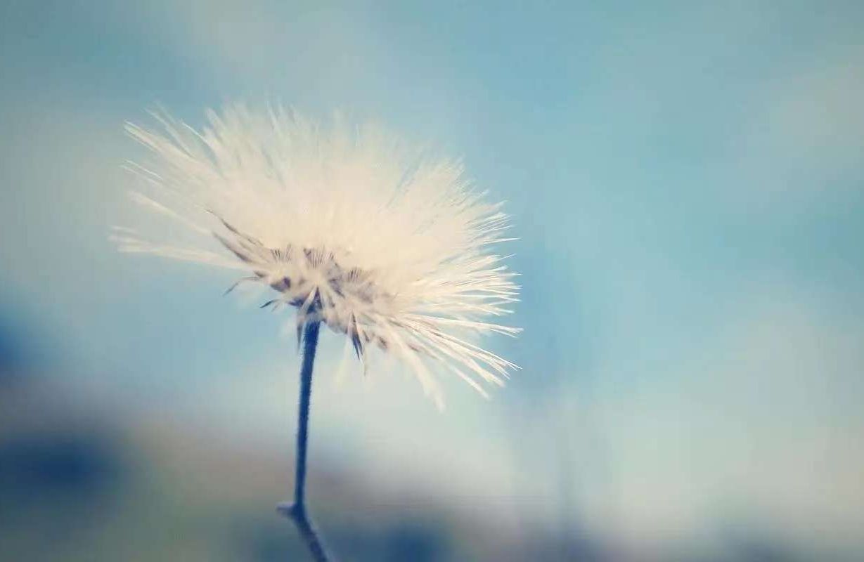 心理学视角：自我成长不是“变得完美”，而是学会和自己好好相处