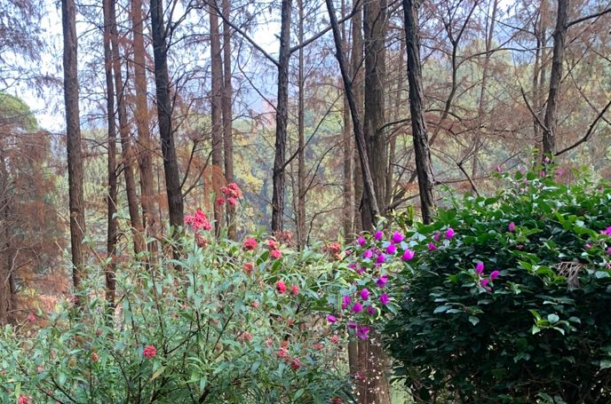 校园霸凌的心理特征