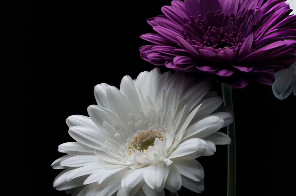 想让孩子内心强大？这5次“撑腰”你做到了吗？